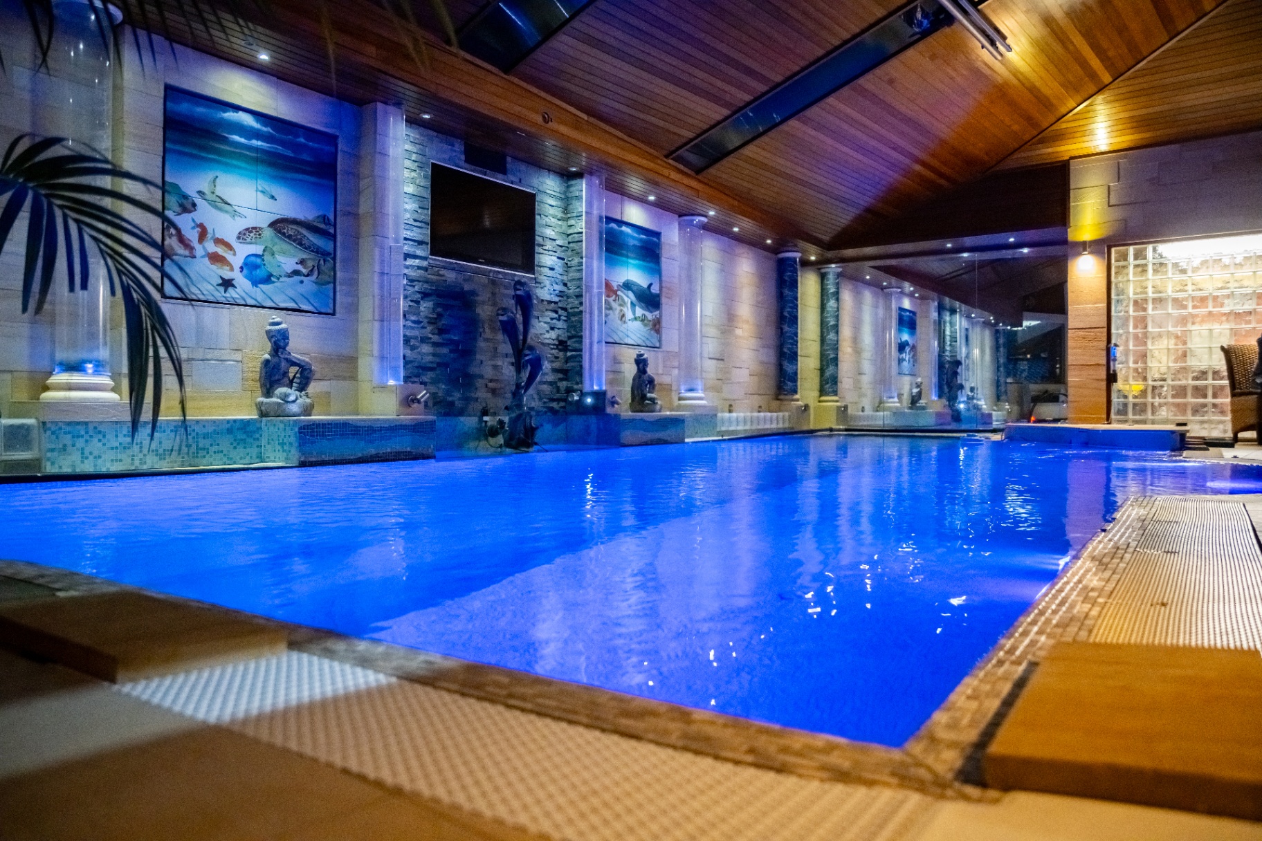 Luxury residential swimming pool with clear blue water